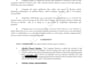 provide expert employment law advice and contract review